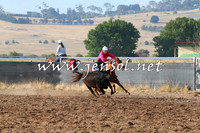BraidwoodCampdraft2014_2017