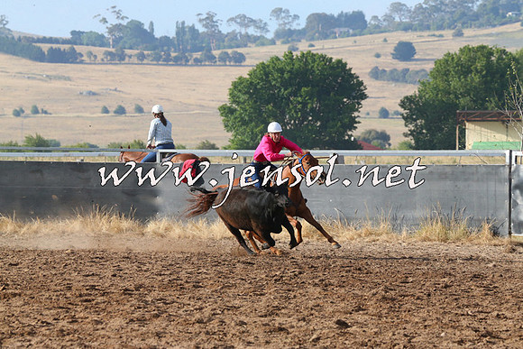BraidwoodCampdraft2014_2017