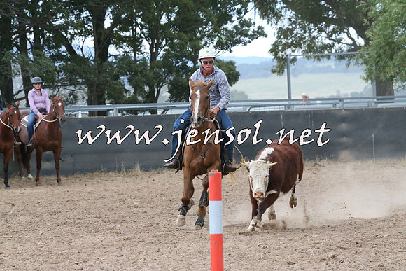 BraidwoodCampdraft2014_2322