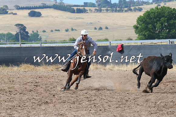 BraidwoodCampdraft2014_2195