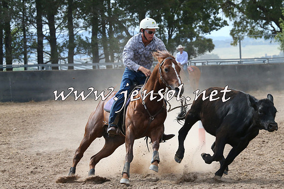 BraidwoodCampdraft2014_2211