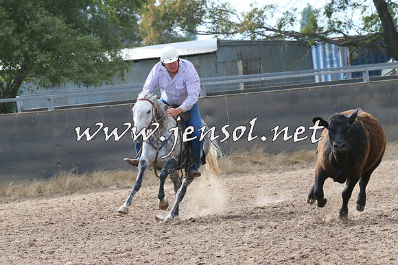 BraidwoodCampdraft2014_2240