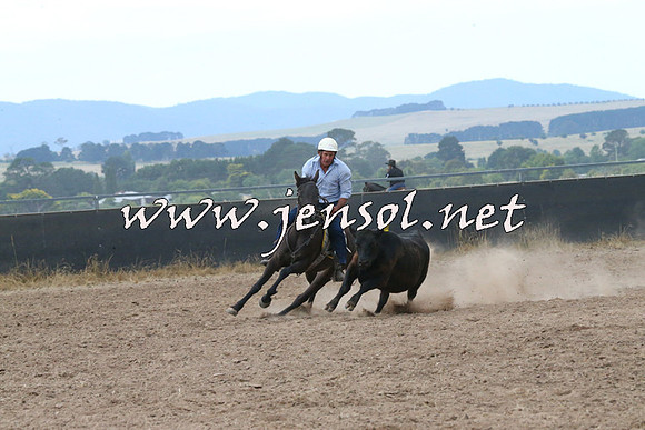 BraidwoodCampdraft2014_2276