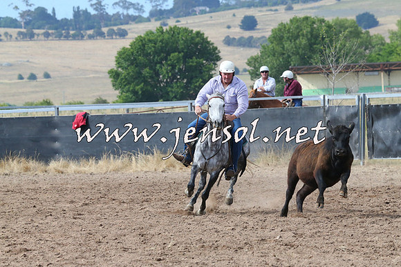 BraidwoodCampdraft2014_2230