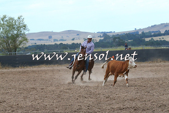 BraidwoodCampdraft2014_2260