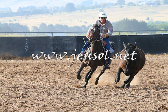 BraidwoodCampdraft2014_2009