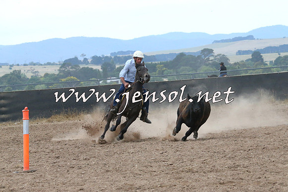 BraidwoodCampdraft2014_2272