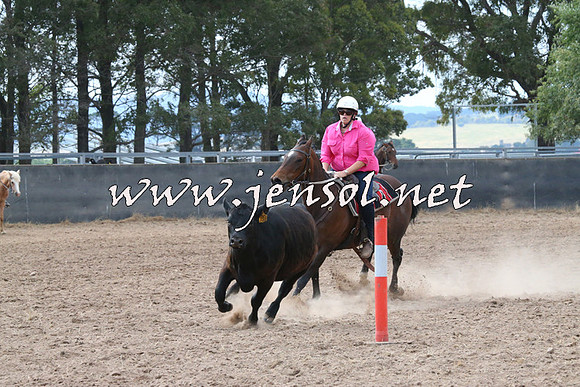 BraidwoodCampdraft2014_2191