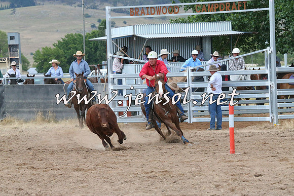 BraidwoodCampdraft2014_2290