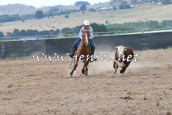 BraidwoodCampdraft2014_2308