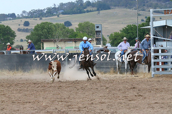 BraidwoodCampdraft2014_2364