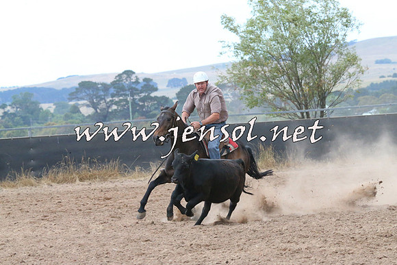 BraidwoodCampdraft2014_2266