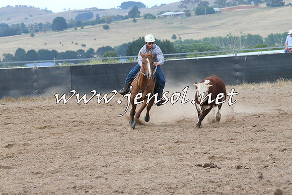 BraidwoodCampdraft2014_2310