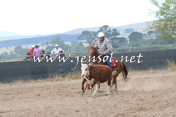 BraidwoodCampdraft2014_2340