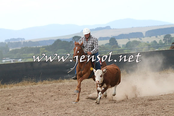 BraidwoodCampdraft2014_2337