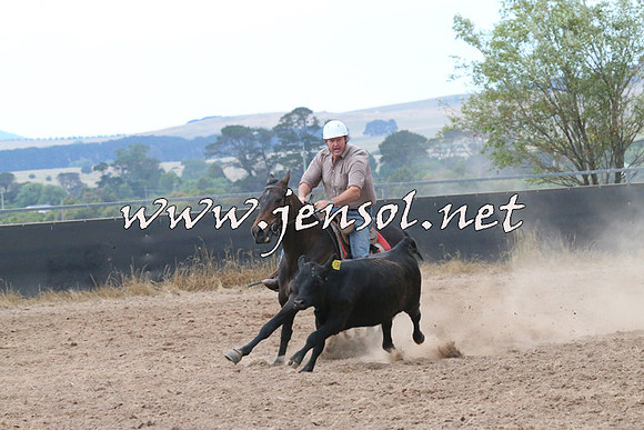 BraidwoodCampdraft2014_2267