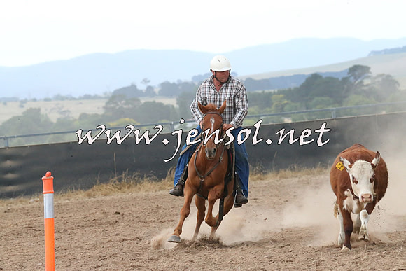 BraidwoodCampdraft2014_2343