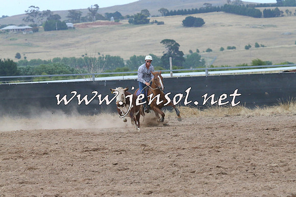 BraidwoodCampdraft2014_2319
