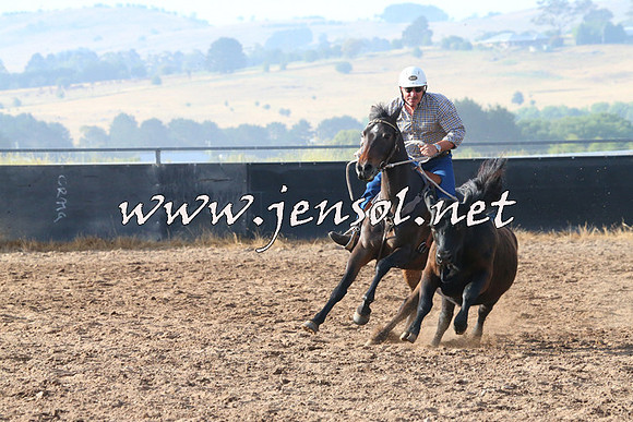 BraidwoodCampdraft2014_2012