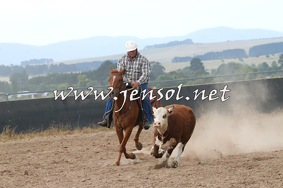BraidwoodCampdraft2014_2344