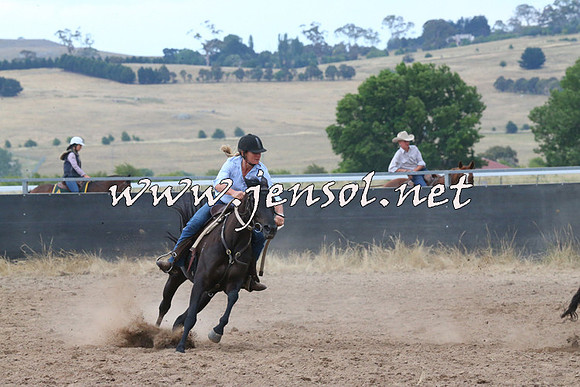 BraidwoodCampdraft2014_2253