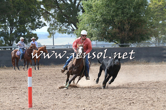 BraidwoodCampdraft2014_2226