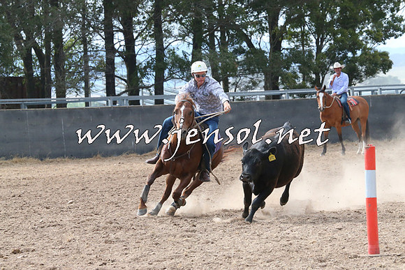 BraidwoodCampdraft2014_2206