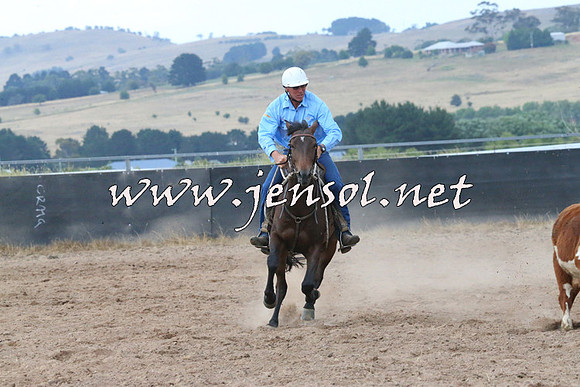 BraidwoodCampdraft2014_2360