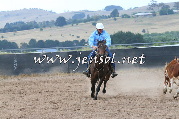 BraidwoodCampdraft2014_2356