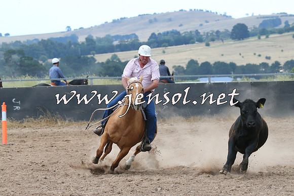 BraidwoodCampdraft2014_2257
