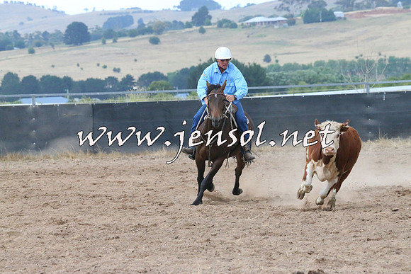 BraidwoodCampdraft2014_2358