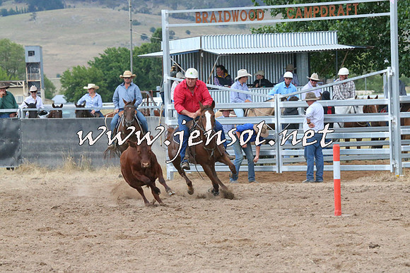 BraidwoodCampdraft2014_2291