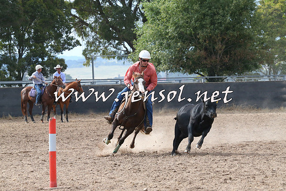 BraidwoodCampdraft2014_2228