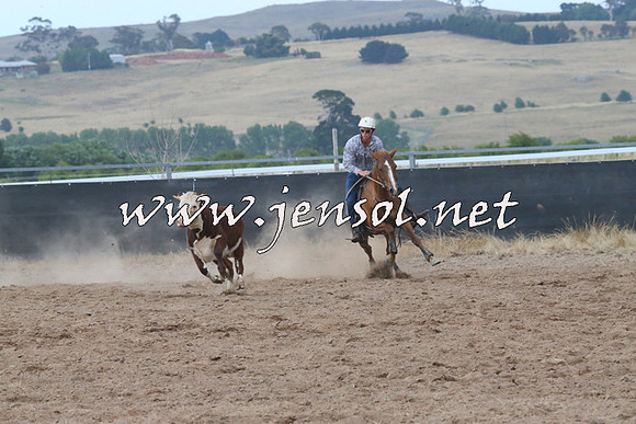 BraidwoodCampdraft2014_2320