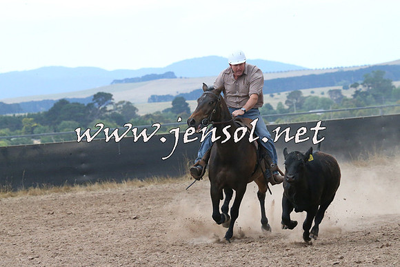 BraidwoodCampdraft2014_2263