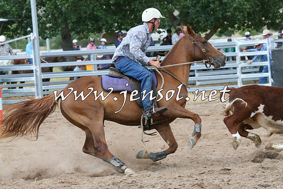 BraidwoodCampdraft2014_2316