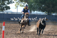 BraidwoodCampdraft2014_2005