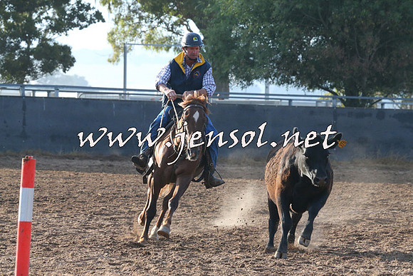 BraidwoodCampdraft2014_2005