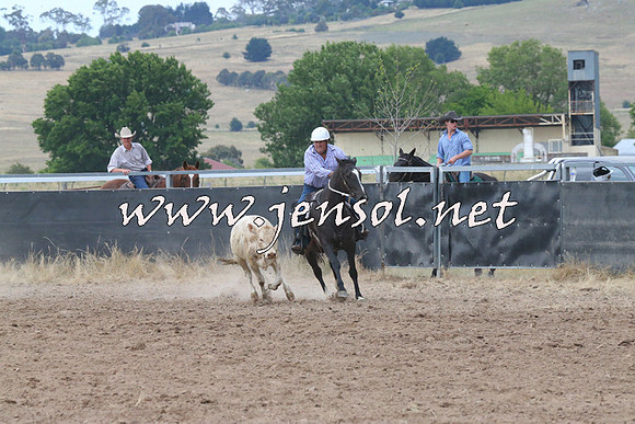 BraidwoodCampdraft2014_2248