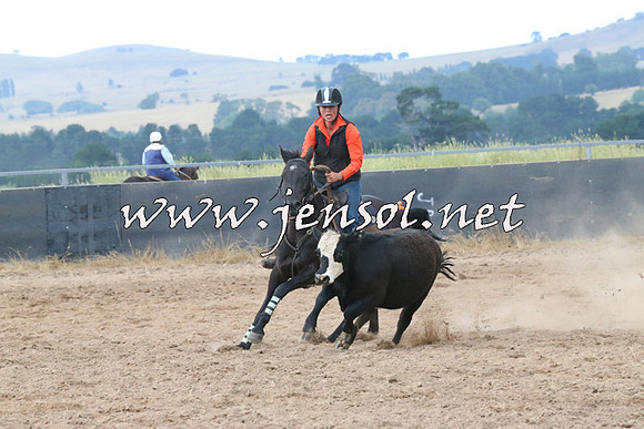 BraidwoodCampdraft2014_2333
