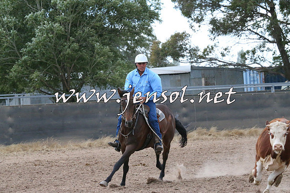 BraidwoodCampdraft2014_2367