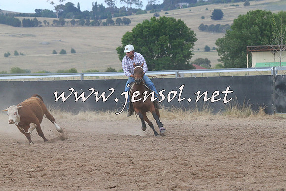 BraidwoodCampdraft2014_2299