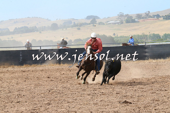 BraidwoodCampdraft2014_2221