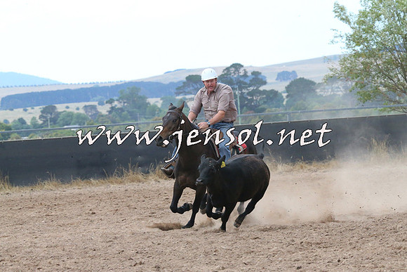 BraidwoodCampdraft2014_2269