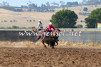 BraidwoodCampdraft2014_2023