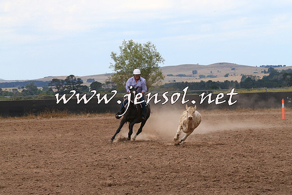 BraidwoodCampdraft2014_2246
