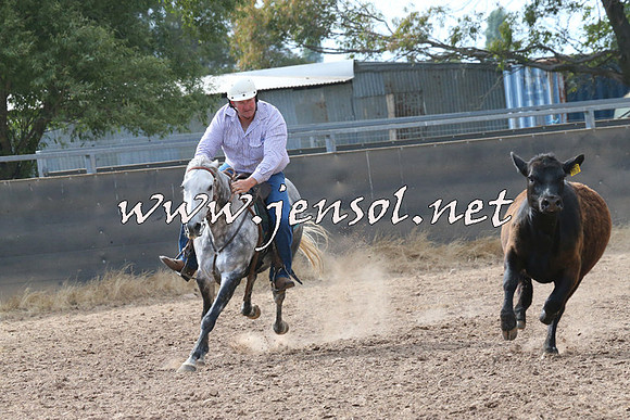 BraidwoodCampdraft2014_2239