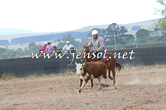 BraidwoodCampdraft2014_2339