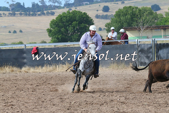 BraidwoodCampdraft2014_2232