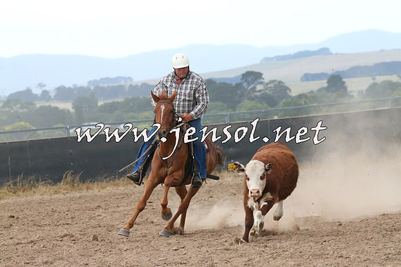 BraidwoodCampdraft2014_2345